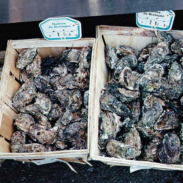 Huîtres